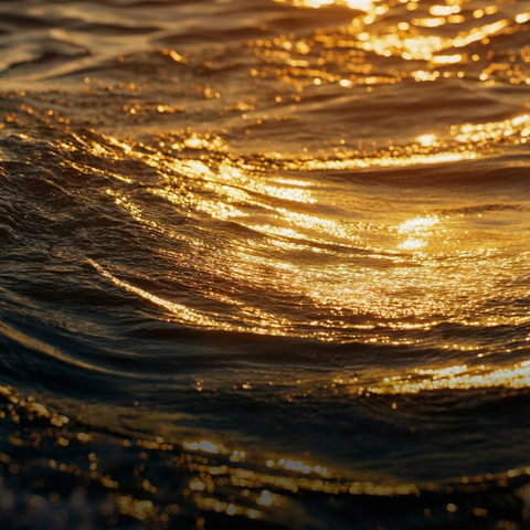 Sculptés dans la lumière